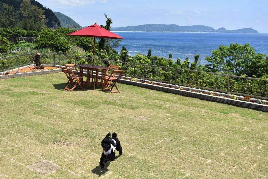 龍郷町 ソル エ マールヴィラ エクステリア 写真